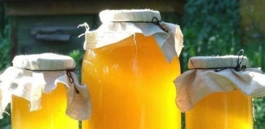 Miód: słodka korzyść natury